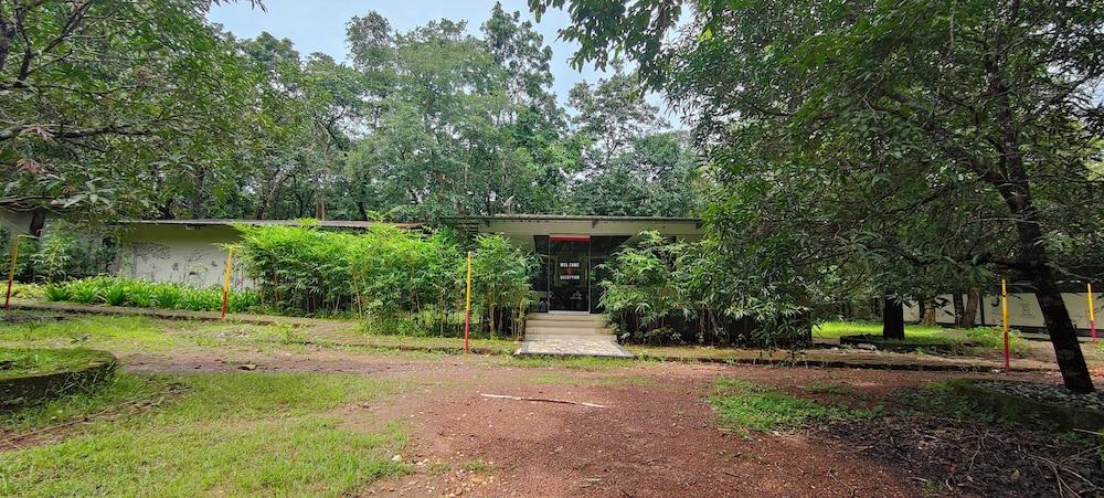 Tree Paradise Resort