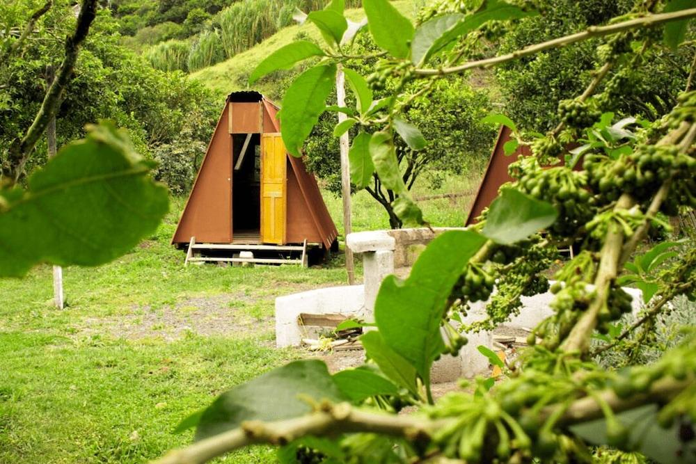 Natural Garden Glamping