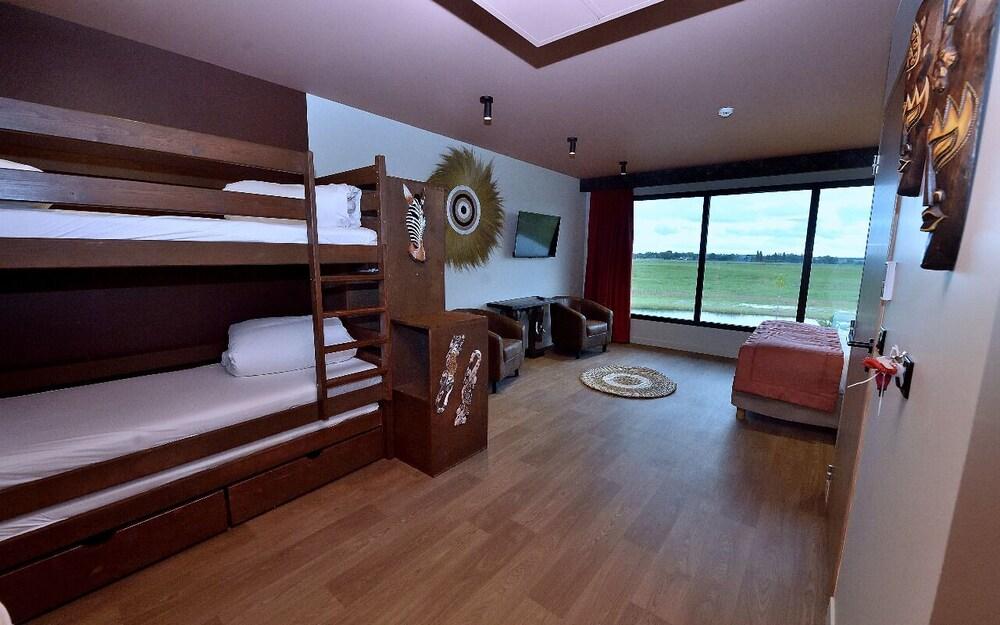 Le royaume des Lions