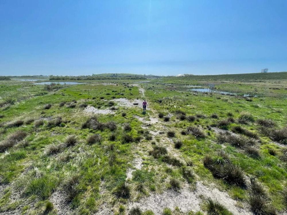 Apartment, 250m From Coast