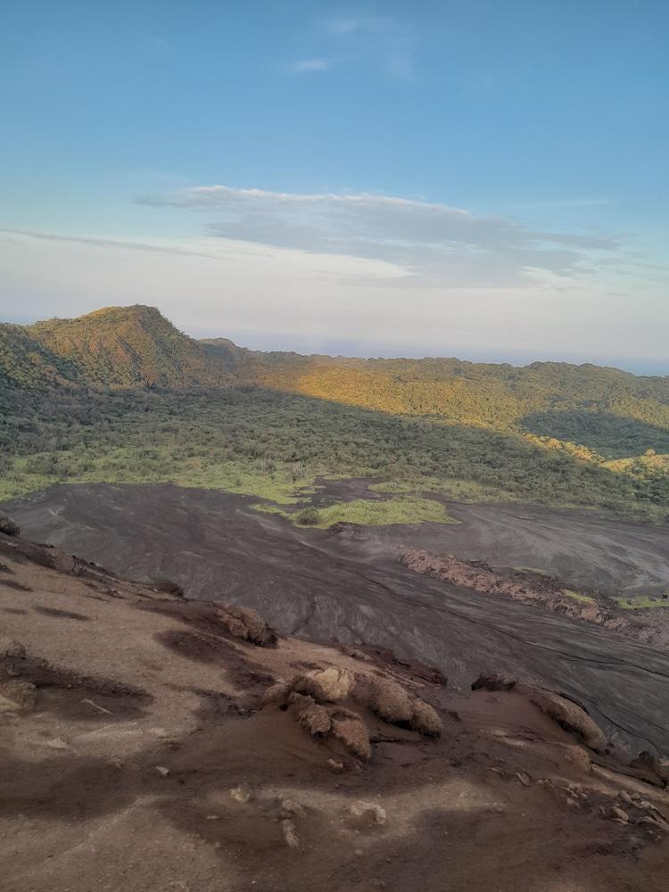 Glowing view tree house and Bangalow