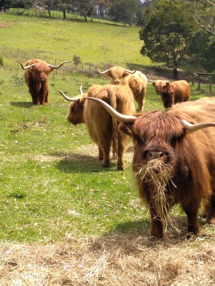 Near and Far Nature Stay