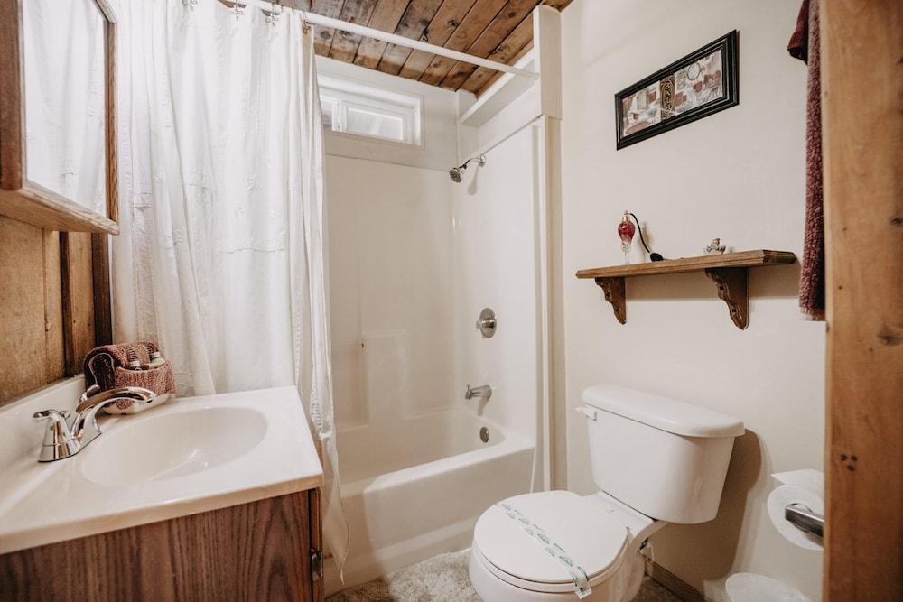 Room-mt Baker Apt, Pets OK, Wifi and AC