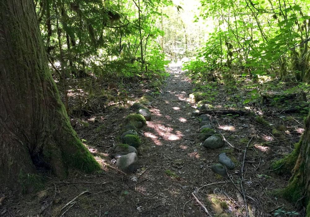 Ensuite 08 - A Newly Remodeled Studio - A Perfect Romantic Getaway