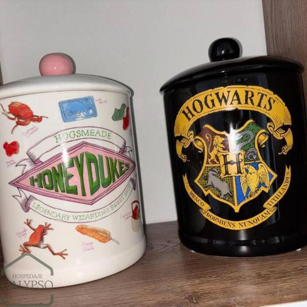 Espectacular Apartaestudio Harry Potter