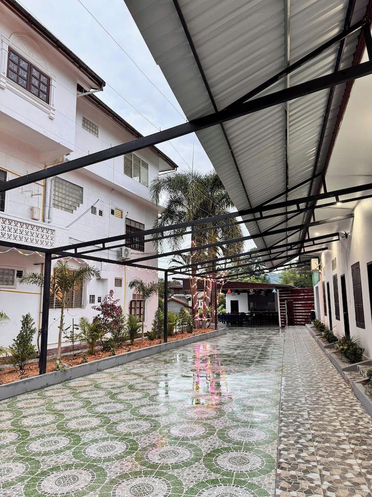 Jungle Backpackers View