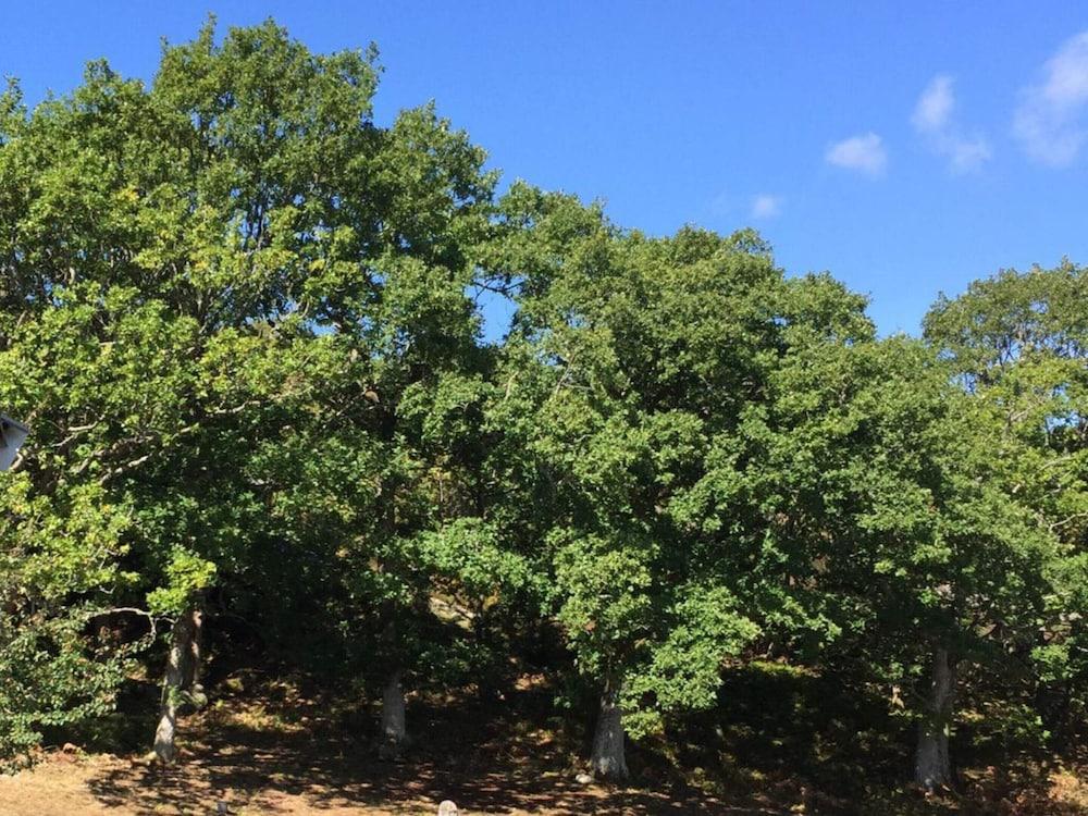 5 Star Holiday Home in Mastrand