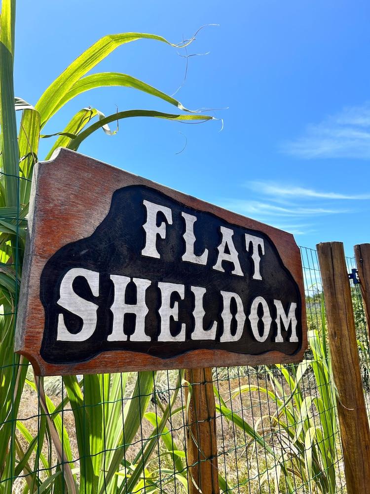 FLAT SHELDOM