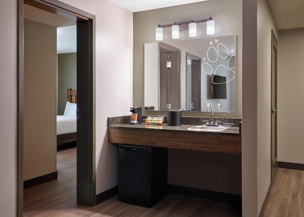 Great Wolf Lodge Webster