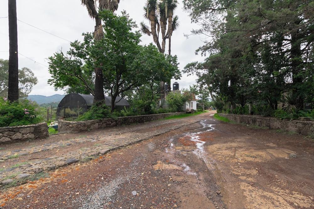 Hotel Las Palmas By GEstores