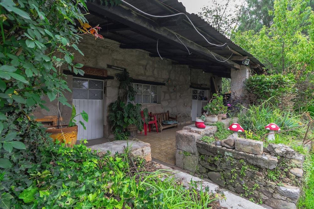 Hotel Las Palmas By GEstores