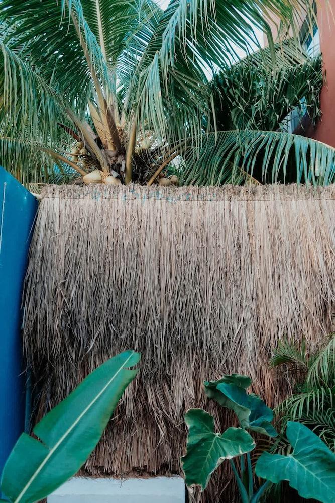 Tropical House With Private Pool in Downtown