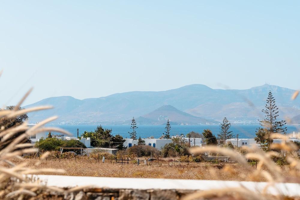 Julie s Luxury Apartment