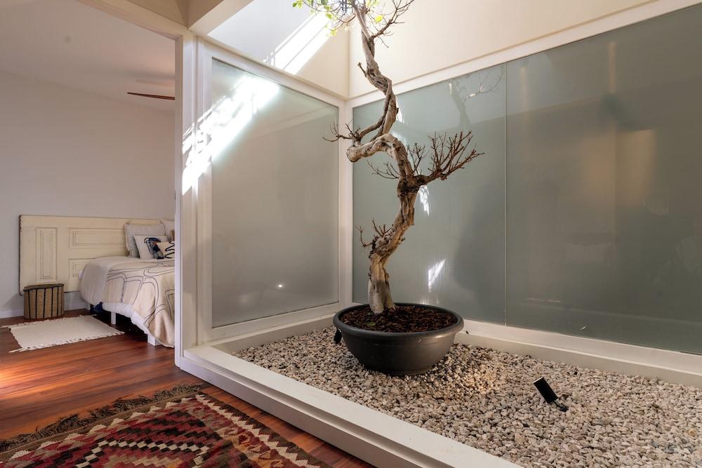 Feel Discovery P&P House Douro Valley