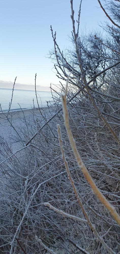 Ferienpark-Eichenwald