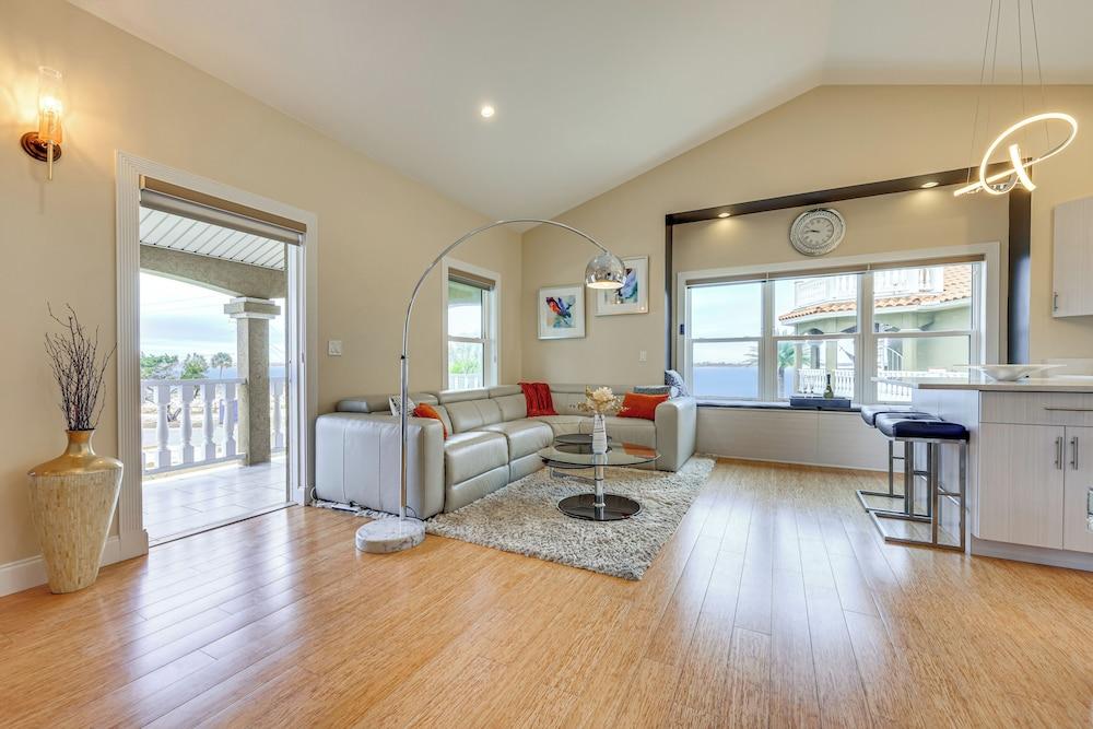 Watch Dolphins: St Augustine Gem Near Downtown!