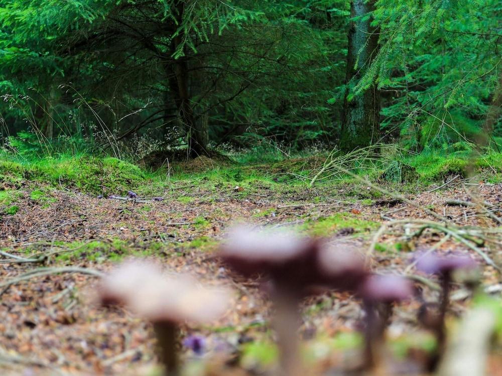 Holiday Home in Central Jutland