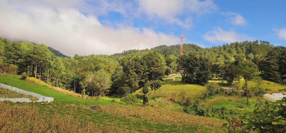 Hostal El Pital Lecho de Flores