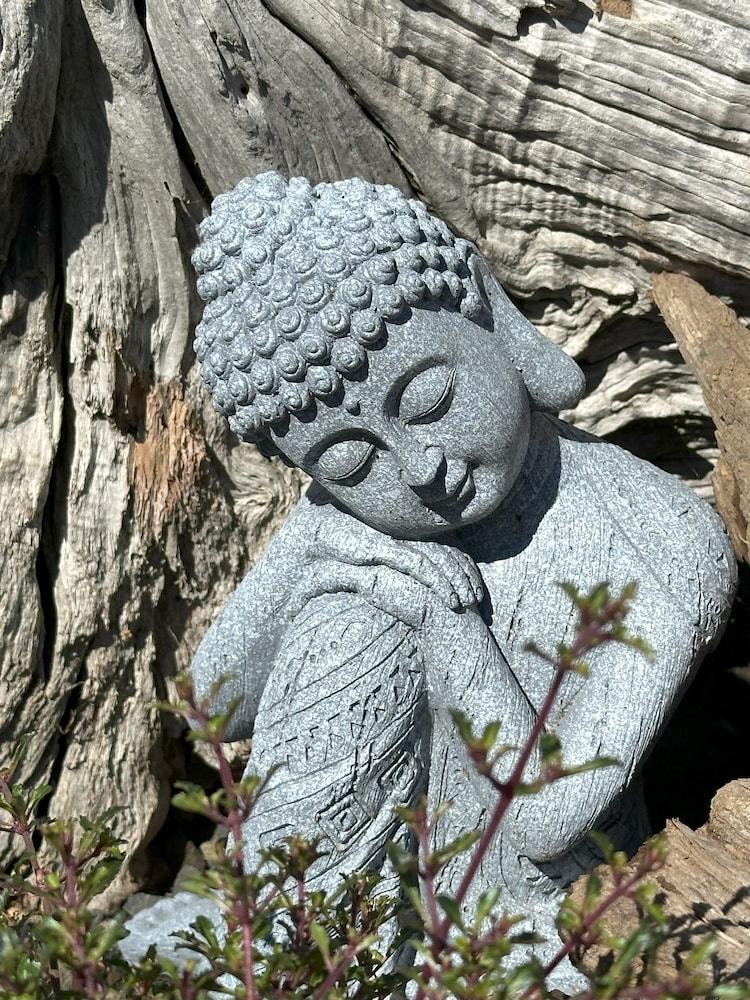 Kūkupa Matairangi at Akaroa Lavender