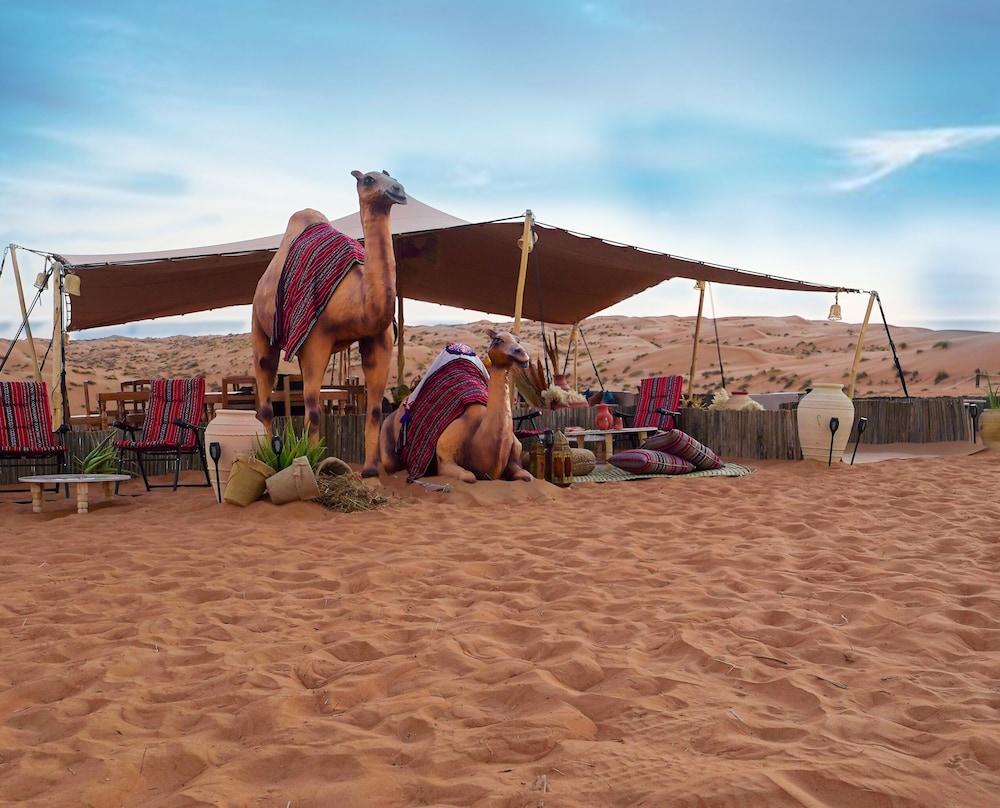 Twilight dunes By Miracle Oman