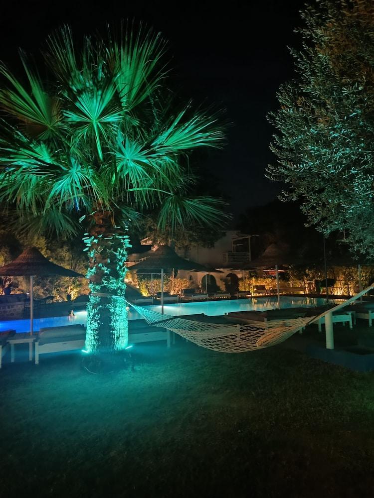 Trees Art Hotel & Suites