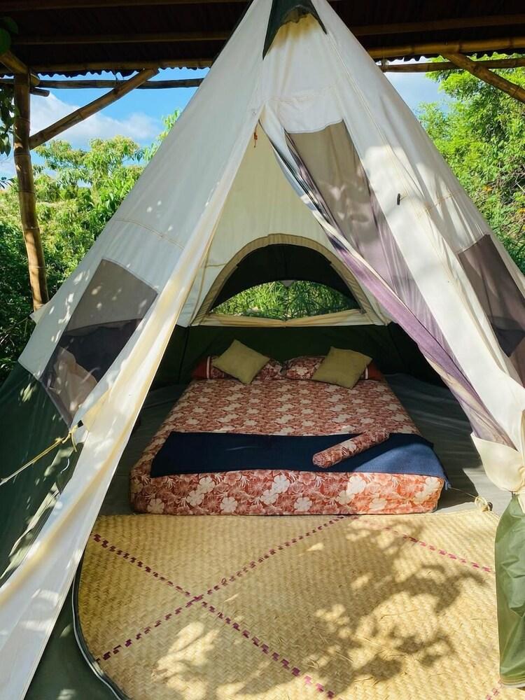 Bajo las Estrellas eco camp