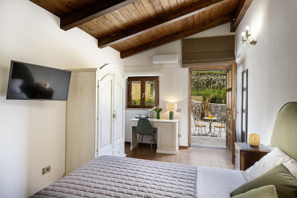 IL vigneto di nonno Pietro