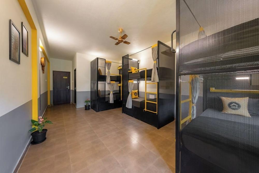 The Hosteller Coorg Rainforest, Madikeri