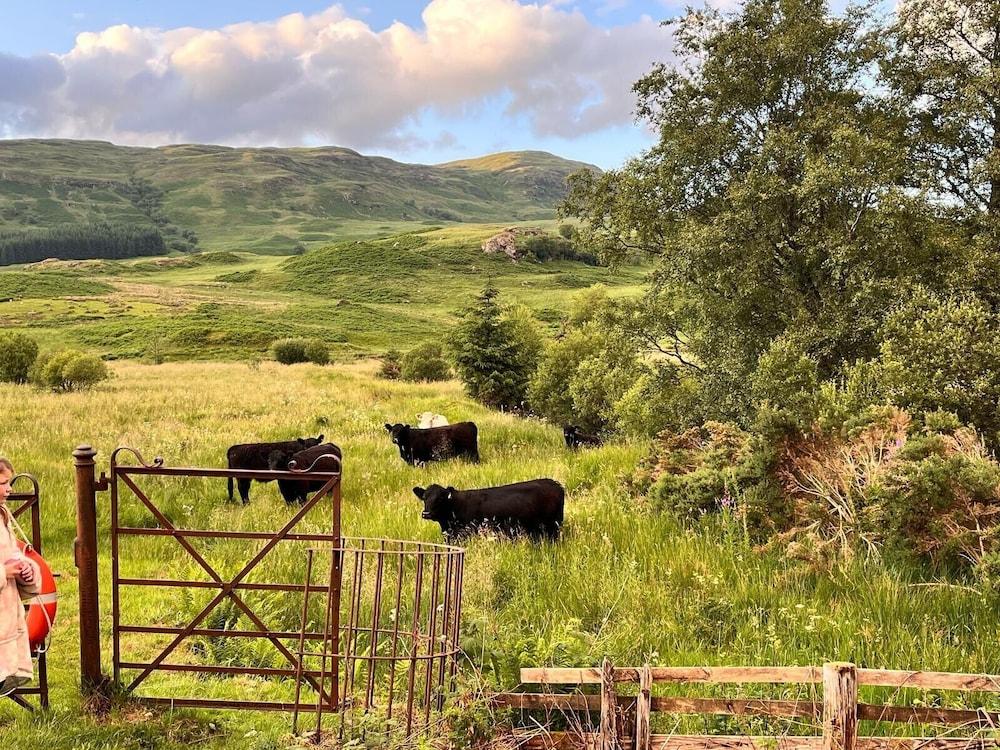 Double Room, Crianlarich, whw