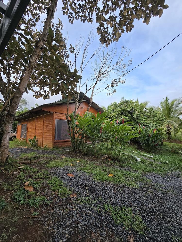 Boca Tapada Rainforest