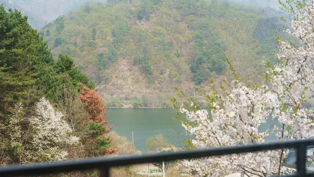 Gapyeong Reflex Pool Villa Pension