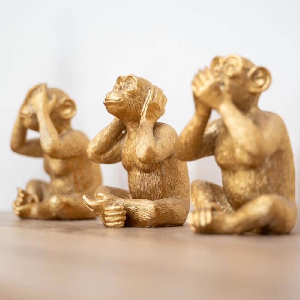 Les Pierres De La Massane