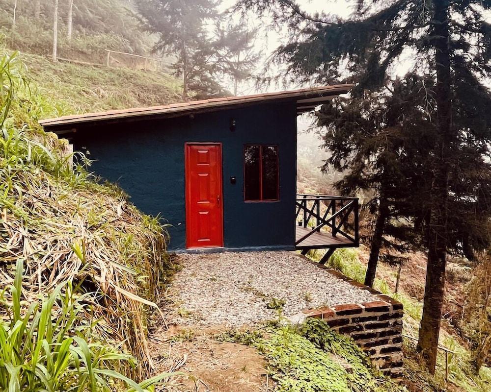 Finca Montaña Magica