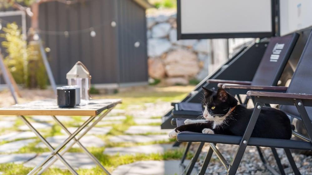 Sokcho Supuro Caravan