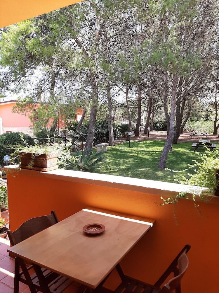 Sole del Mediterraneo