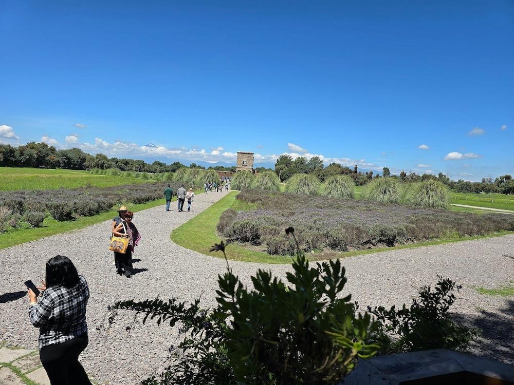 Departamento Carlo Crivelli