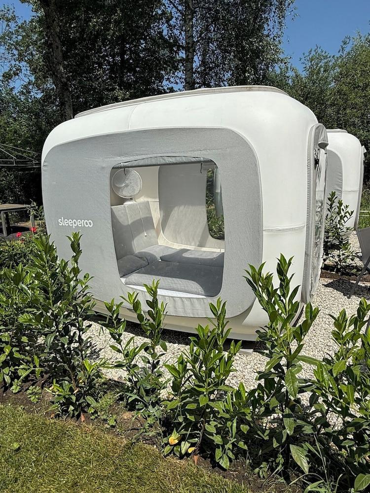 Directly on Lake Wallersee - Cubes - SELF CHECK-IN