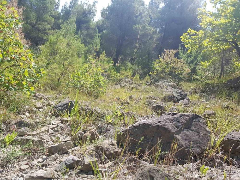 Vila Sofia Gllava - Resort