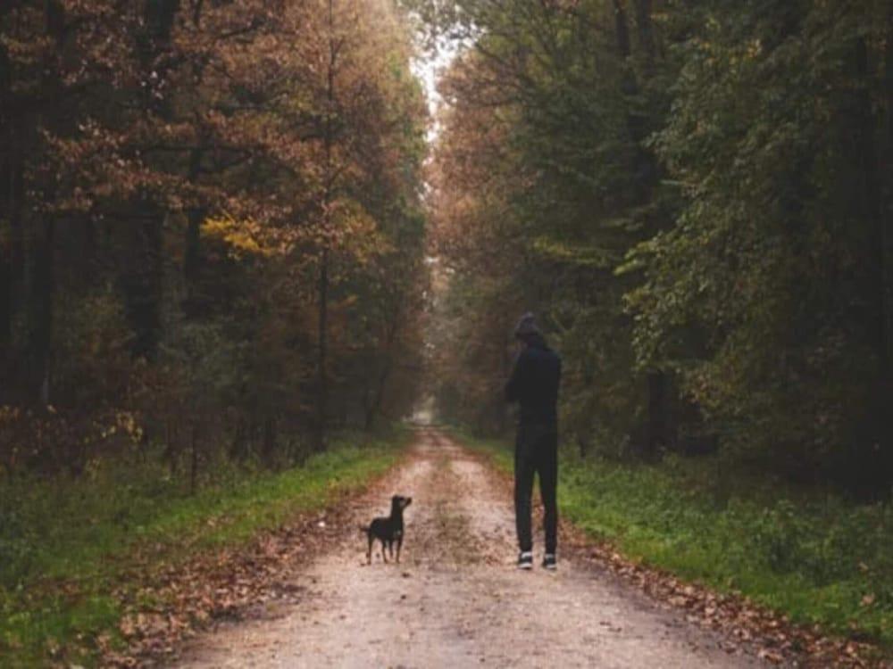 4 Person Holiday Home in Hampen