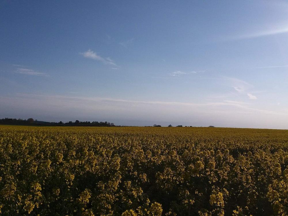 4 Star Holiday Home in Jaegerspris