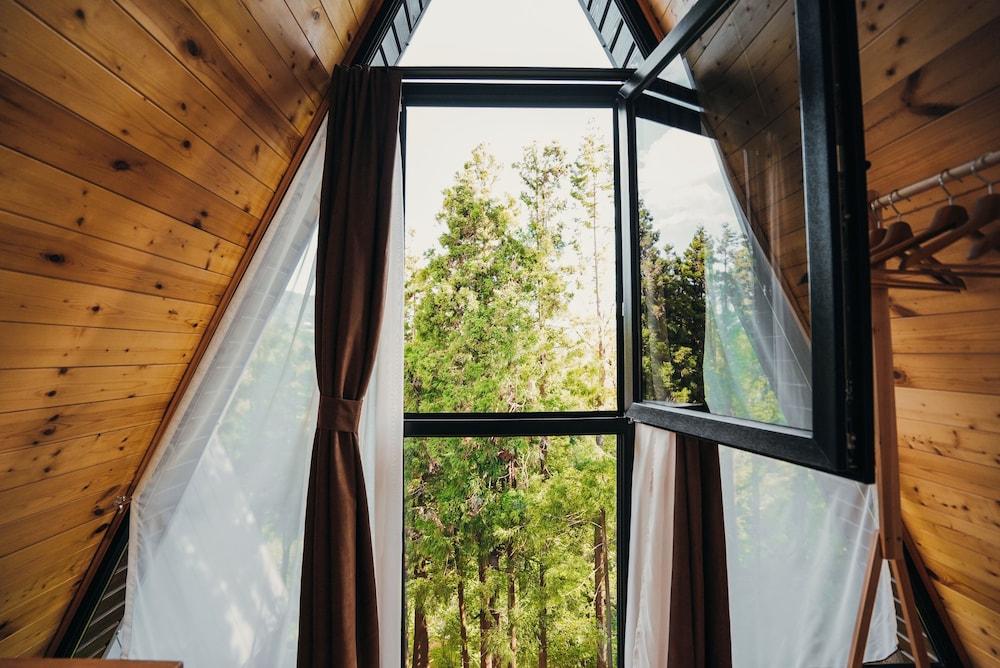 inwoods Tsikhisdziri