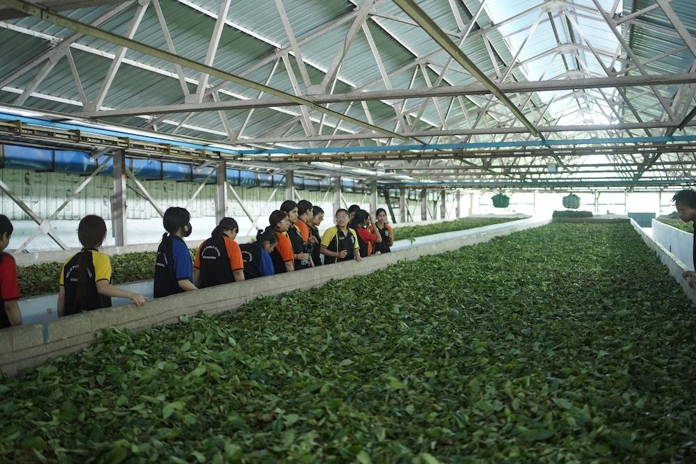 Amchong Park And resorts