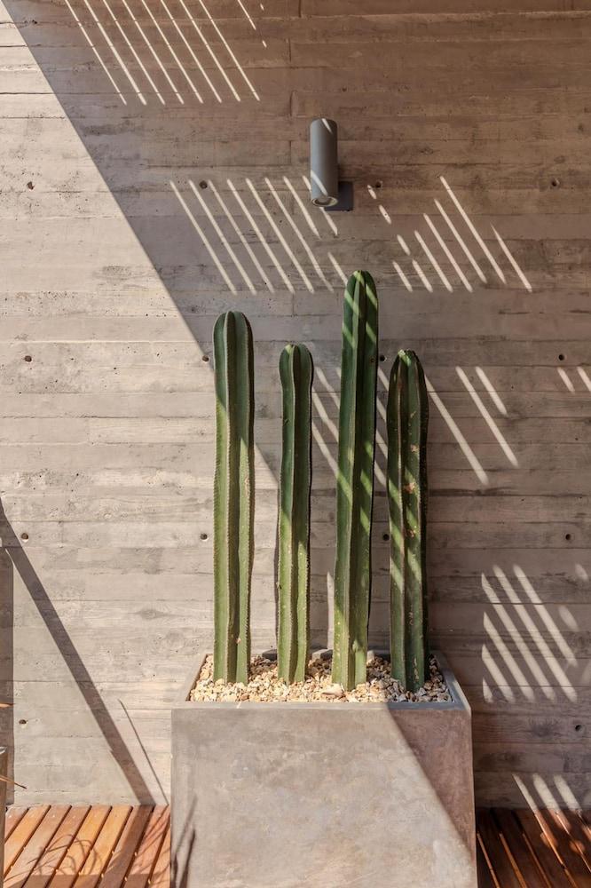 w Stylish 2BR Apartment With Ocean View in La Paz