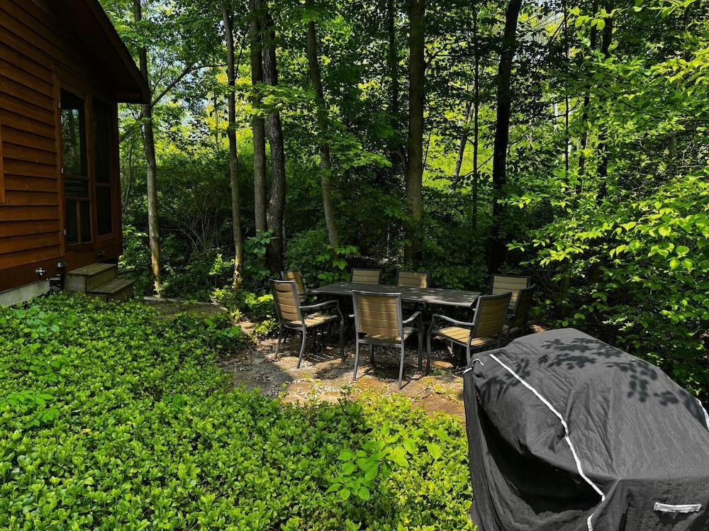 Timber Nest Goshorn Lake Dock, Pool, Town HOT Tub!