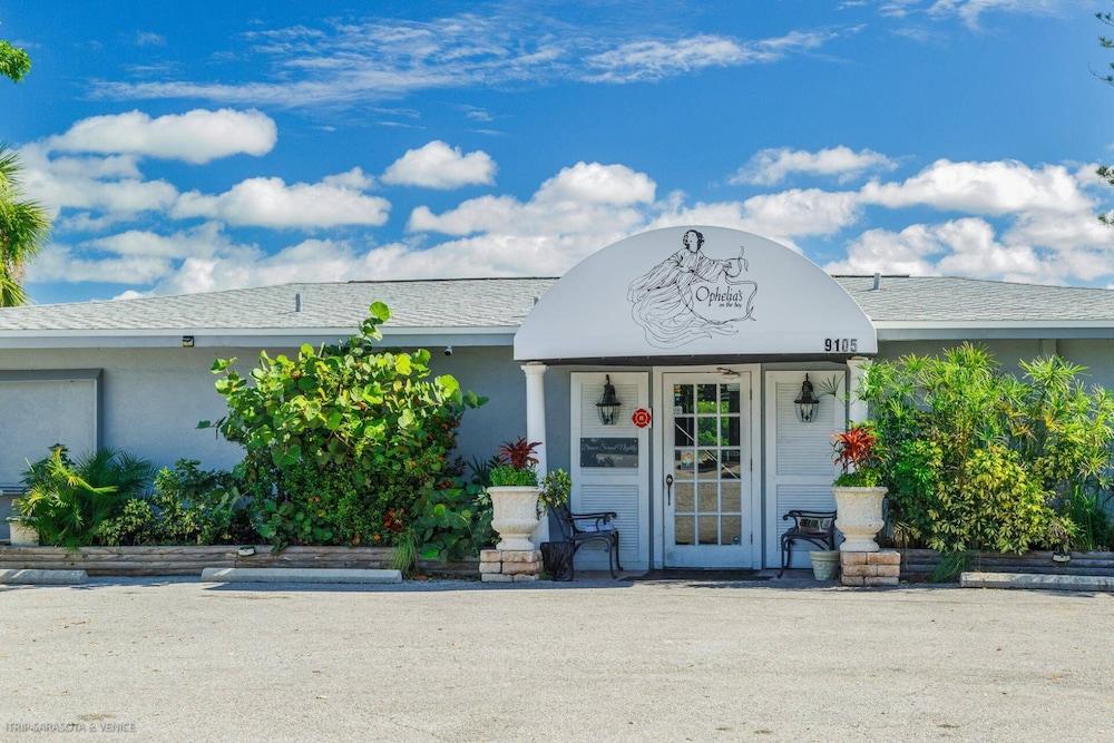 Coastal Breeze Siesta - Dolphin