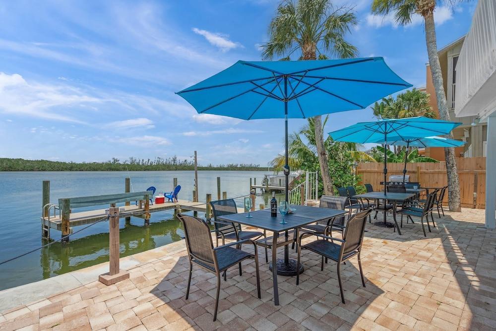 Coastal Breeze Siesta - Dolphin