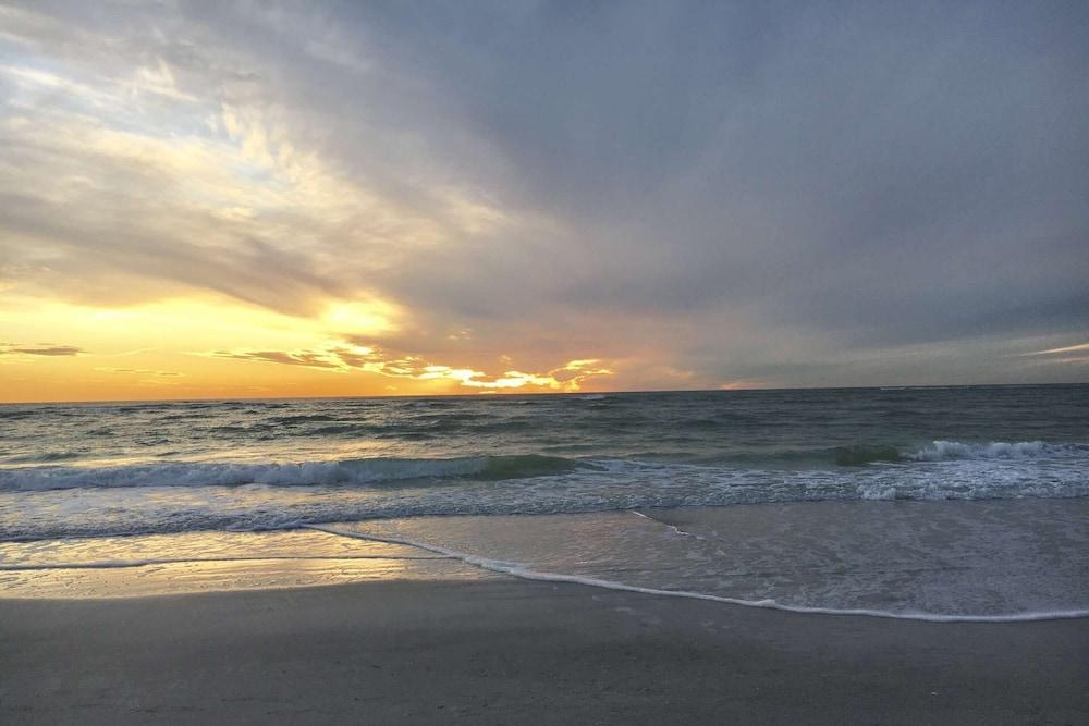 Coastal Breeze Siesta - Pelican