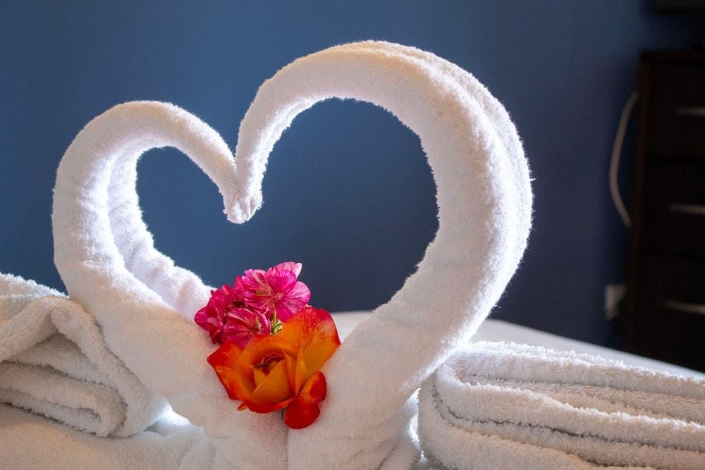 George s Panoramic View