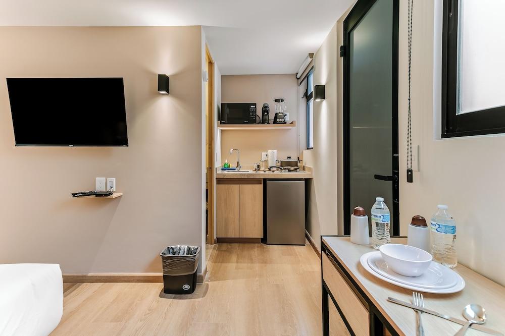 Pájaros by Homirent