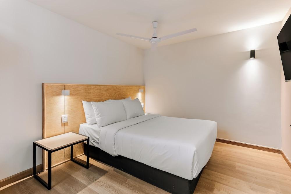 Pájaros by Homirent